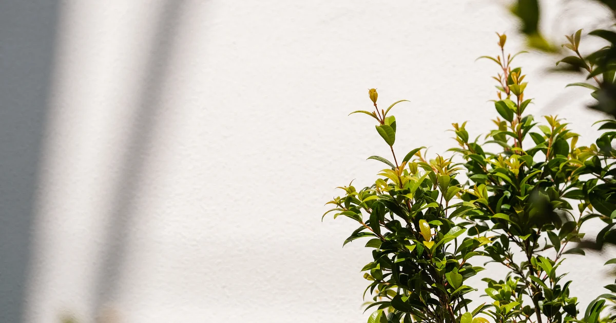 Beast Mode × autoresearch — 能力層 + 閉環層 = HOTL 的完整落地方案