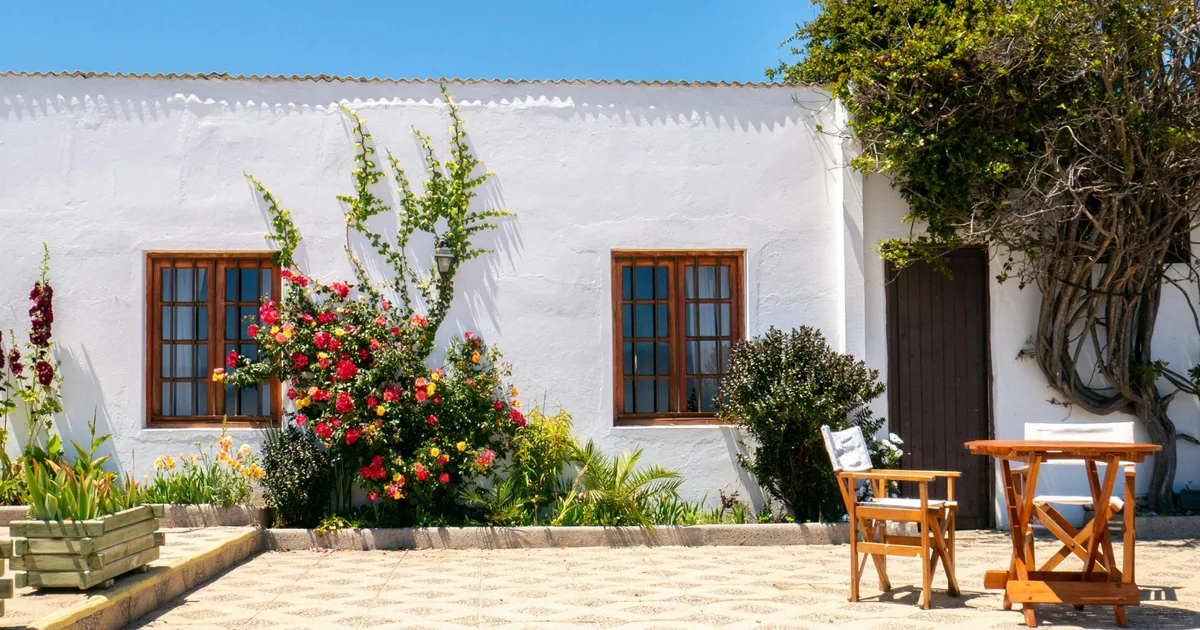 Claude 商務應用完全指南 — 17 個真實使用場景